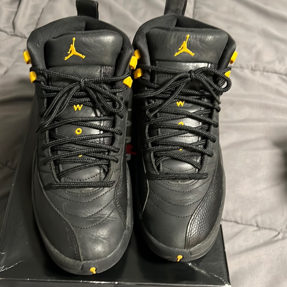 Men Air Jordan 12 authentic